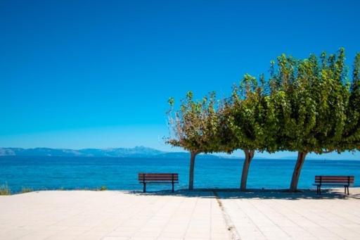 Lavish & Spacious Apt With Stunning Seaview, 10 Min Ath Airport Artemida  Exterior foto